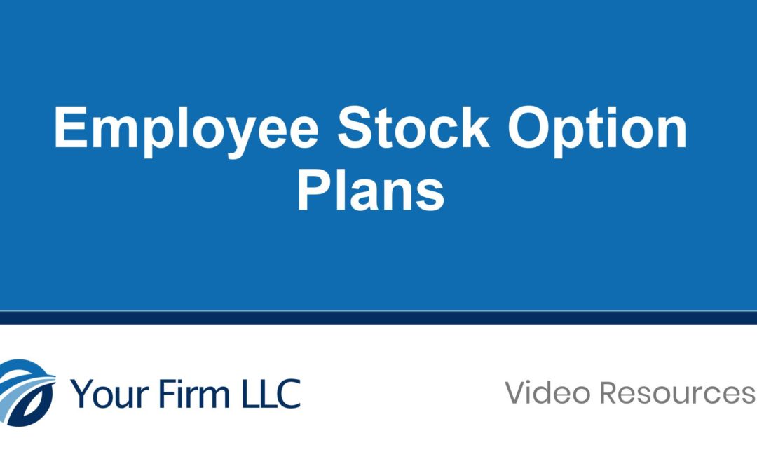 Employee Stock Option Plans